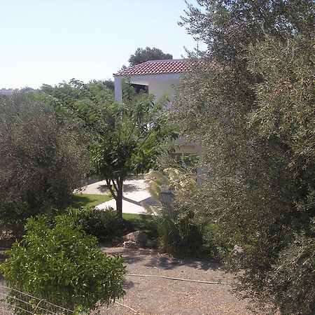 Nephele Apartments Faliraki Esterno foto