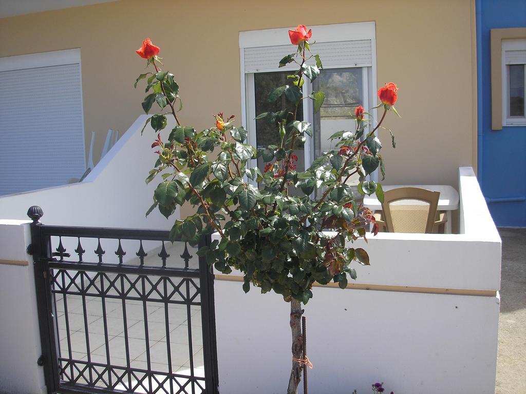 Nephele Apartments Faliraki Esterno foto