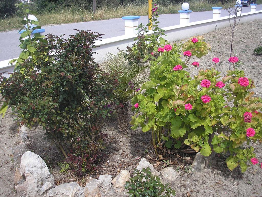 Nephele Apartments Faliraki Esterno foto